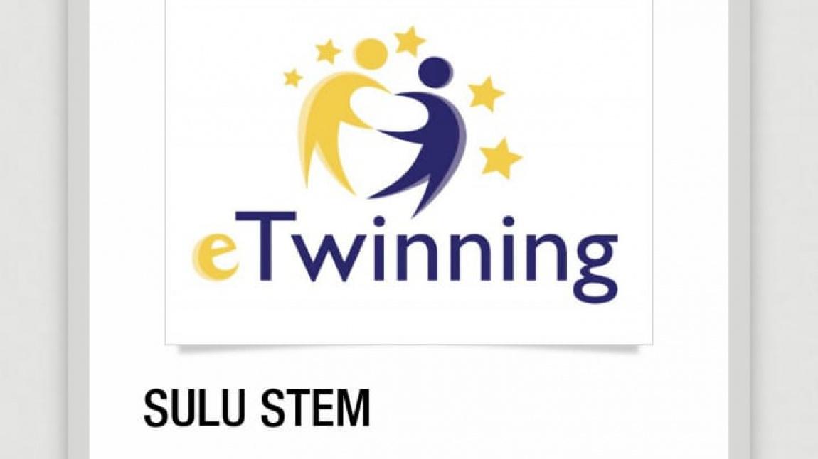 E TWİNNİNG PROJESİ LOGO VE POSTER ANKETİ